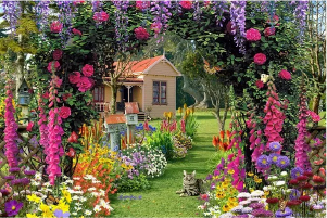 GARDEN FLOWERS
